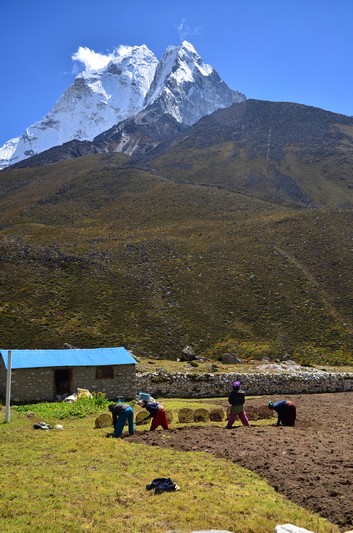 019_Sklizeň brambor pod Ama Dablam