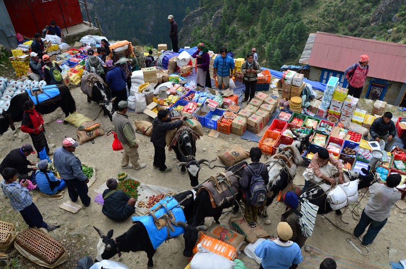 029_Trh v Namche 