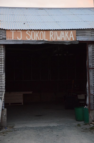 Sokolové jsou všude!